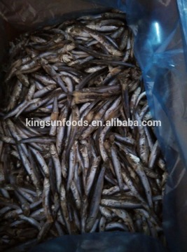 Frozen Block Anchovy