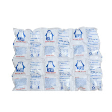 Express Delivery Disposable Ice Packs for Food Preservation