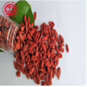 Được chứng nhận Top cấp thấp thuốc trừ sâu Goji Berries