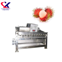 Rambutan Lychee Fruit Pulp Processing Equipment Fresh Juicer