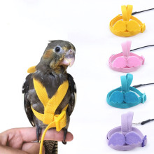 Lightweight Parakeet Parrot Harness Leash for Training and Decorative Use