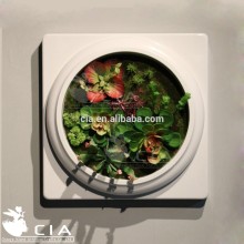 Indoor Decorative Fake Platsic Succulent Plants Wall Hanging Ornaments