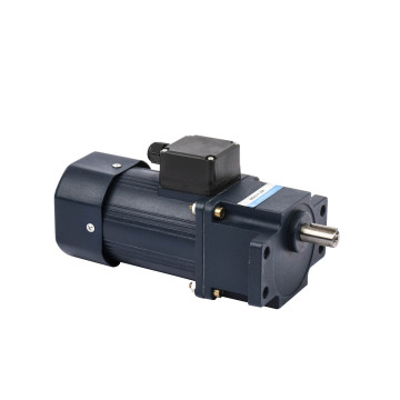 6W AC Induction Gear Reduced Motor Speed Control