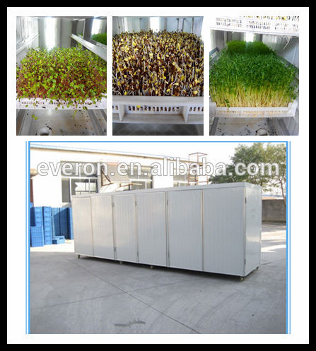 daily 500kg Hydroponic Bean Sprout Machine/mung bean sprout machine