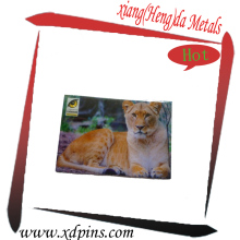 Wholesale cheap metal fridge magnet 