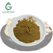 Astragalus Extract Powder for Dietary Supplements