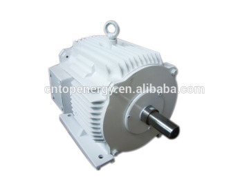 Wind blue alternator 50W 100RPM alternator 200W wind alternator