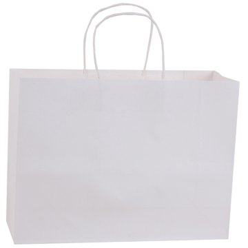 CMYK Printed PP Rope Handle Paper Bag