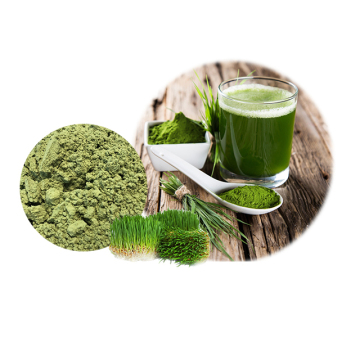 Organic Wheat Grass Juice Powder