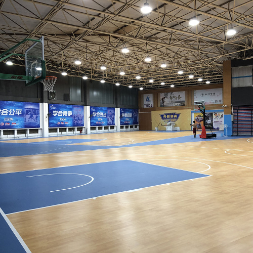 PVC Sports Flooring pour Gym / Gym Flooring / Floor à plusieurs usage