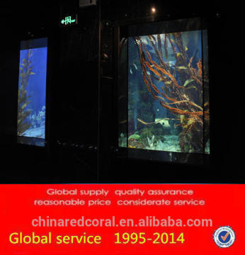 aquarium saltwater