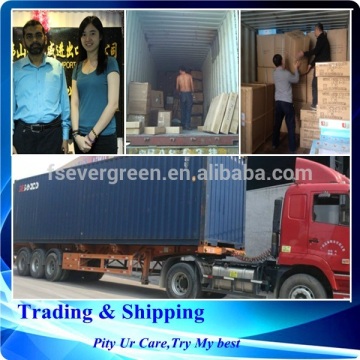 Best air cargo shipping from guanzhou/shenzhen to United States