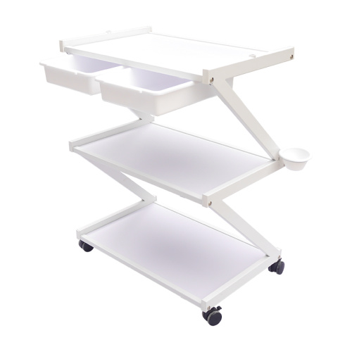 Beauty Salon Trolley Storage Cart