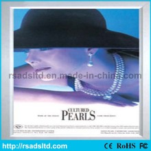 LED Display Advertising Light Box