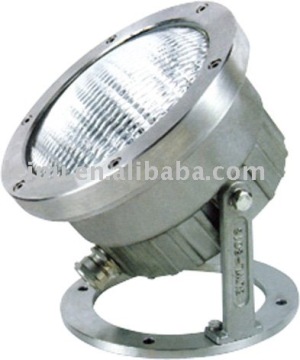 swimming pool light