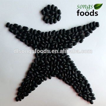 Dried Black Kidney Beans Chinese Black Bean