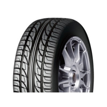 DOUBLESTAR brand radial car tyre PCR DS810