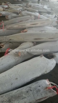 HGT Super frozen black marlin fish