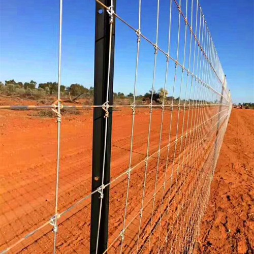 Y Sharp Post Widely Used For Farm Fence