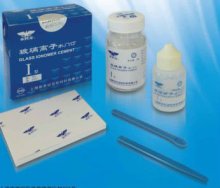 High performance Dental Glass Ionomer Cement