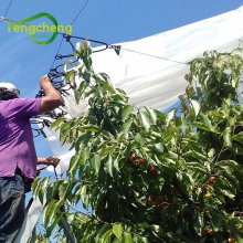 UV stable hdpe woven laminated chile cherry cover