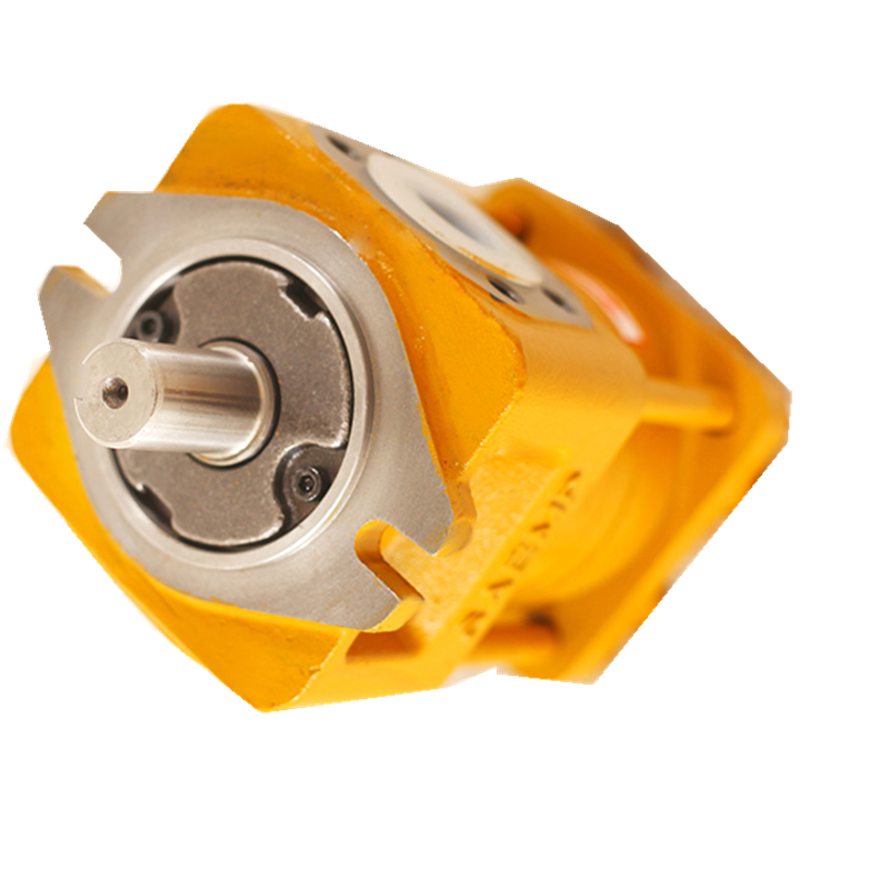 SAEMP NB2-C32F Internal Gear Pump for machine