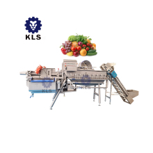 KLS Full Automatic Vegetable Processing Line: Stainless Steel Fruit Washing Machine