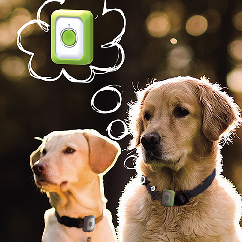 GPS + WIFI + LBS SMART PET GPS COLLAR