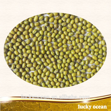 Green mung beans 2017