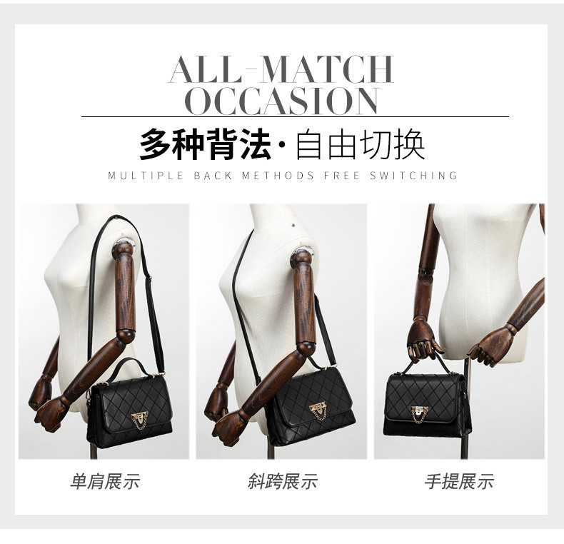 lady hand bags s12021 (17)