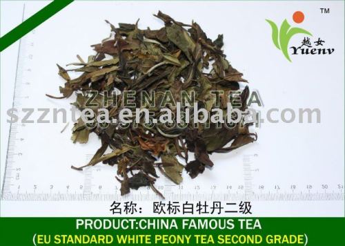 EU STANDARD peony tea organic green tea high quality tea