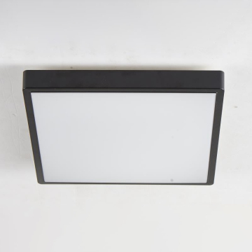 IP44 waterproof ceiling mounted lamp