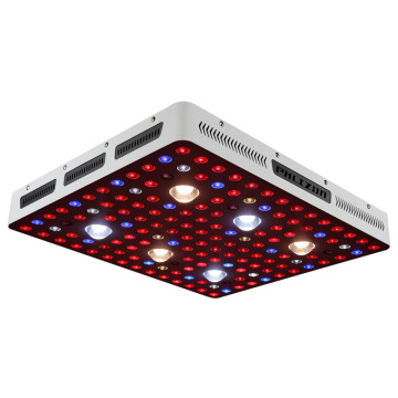 Luzes de cultivo LED comerciais quentes de 3000w 2020