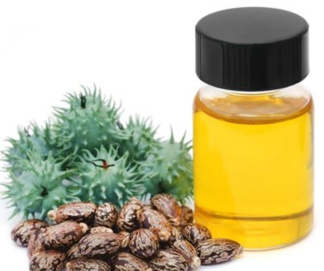 Fabricante de fábrica Pure Natural Castor Oil