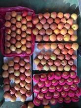 Plastic Bagged Red Fuji Apples