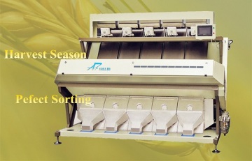 Optical barley color sorter machine barley cleaning machine