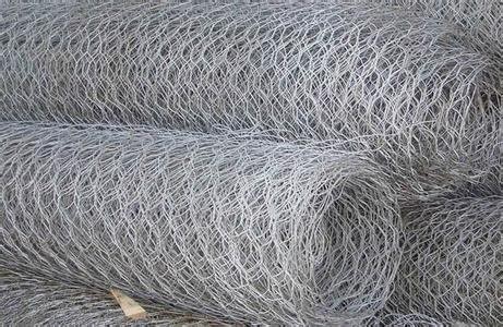 Welded Mesh Wire For Bird Cage China