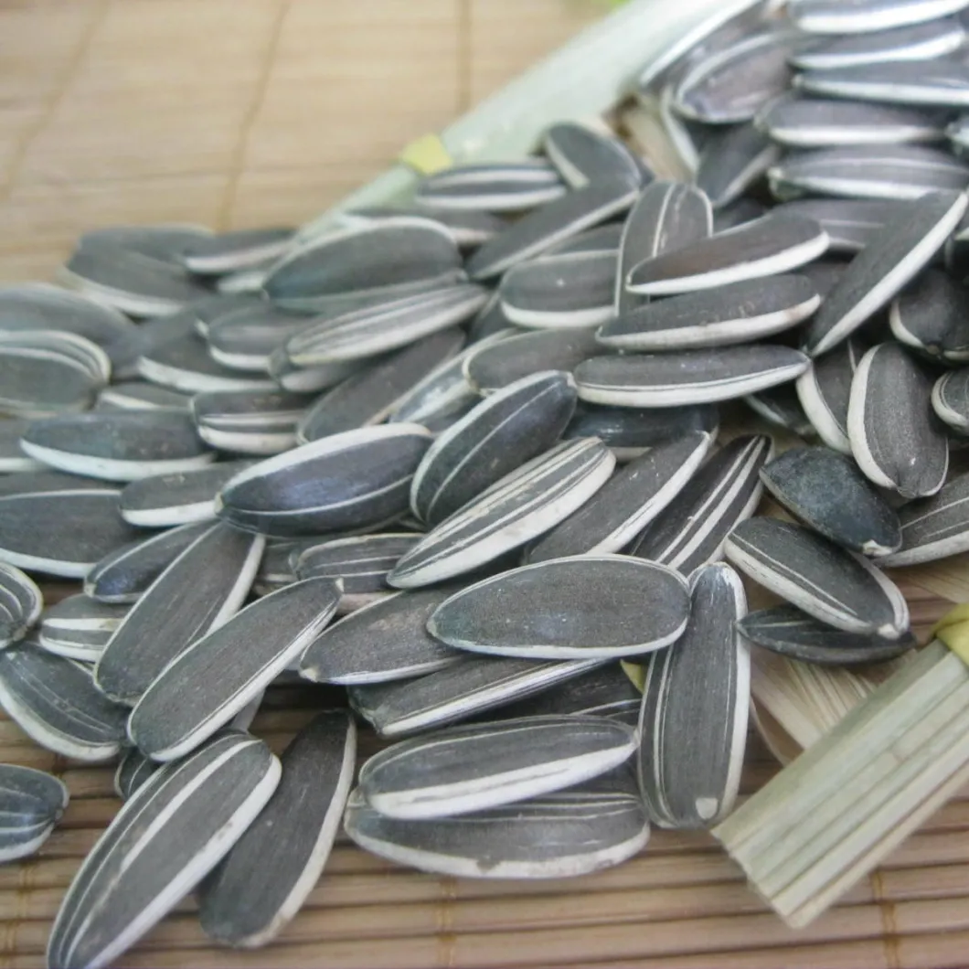 Export Quality Sunflower Seeds From Shandong Manufacture