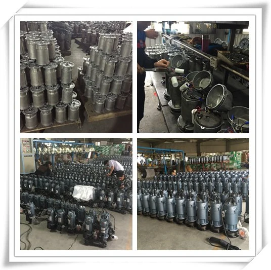 Garden Pump, Submersible Pump, Water Pump, Domestic Pumps