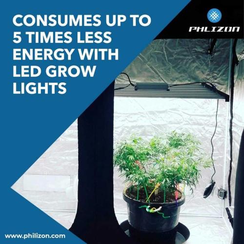 Phlizon Factory Hot Sales Grow Light LED