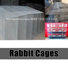 cheap price rabbit breeding cages
