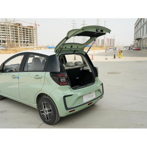 Hege kwaliteit EV E10X Multi-Color Seleksje fan Fastric-auto&#39;s 5 Seat Small Electric Car