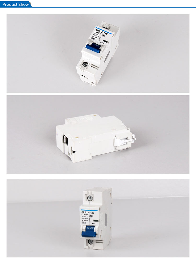 SAIP/SAIPWELL New 1 Pole DC125/220V 100A IP65 Electrical Circuit Breaker MCCB