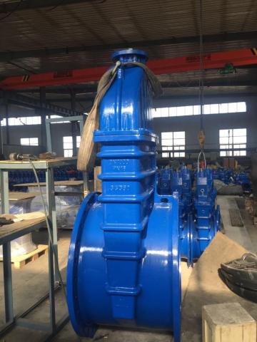 Resilient seated   gate valve