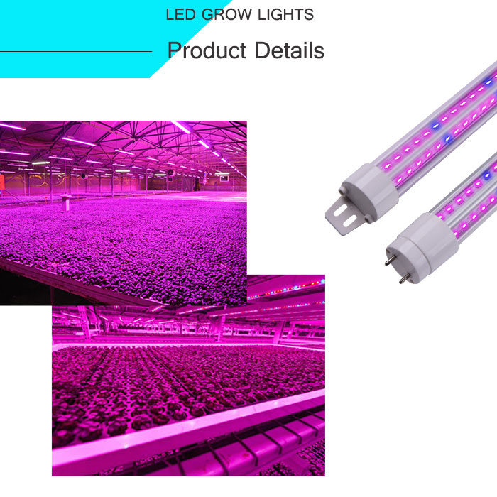 LED Grow Light Application