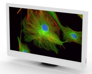 BestScope BLC-600AF 6MP HD LCD Digital Microscope Camera