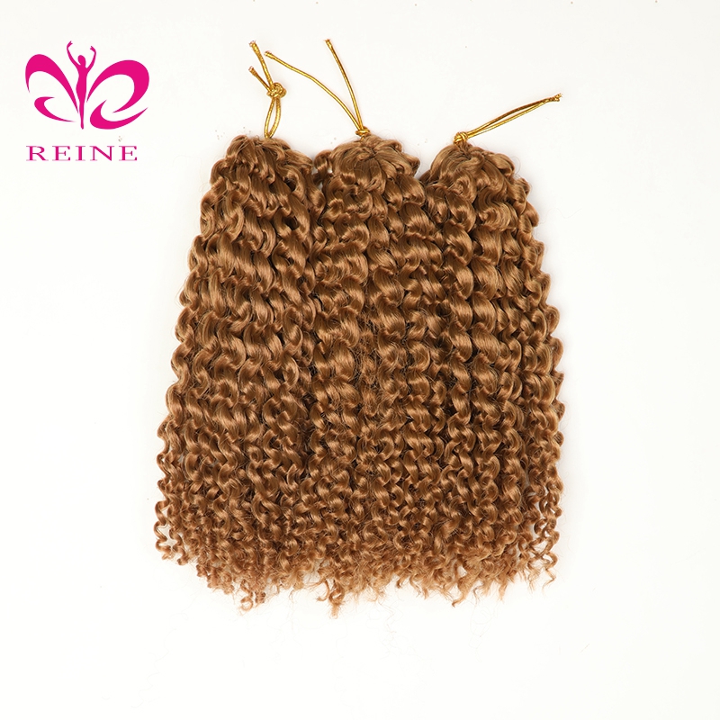 Reine Hot Sale Wholesale Mali Bob Crochet Braid Synthetic Small Afro Curly Hairstyle Mali Bob Hair Extension