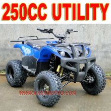 250cc New Force ATV