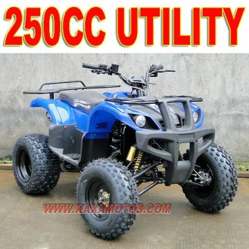 250cc New Force ATV