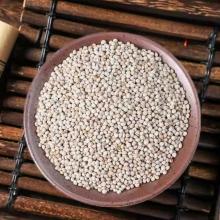 Perilla Seed In Chinese Medicine